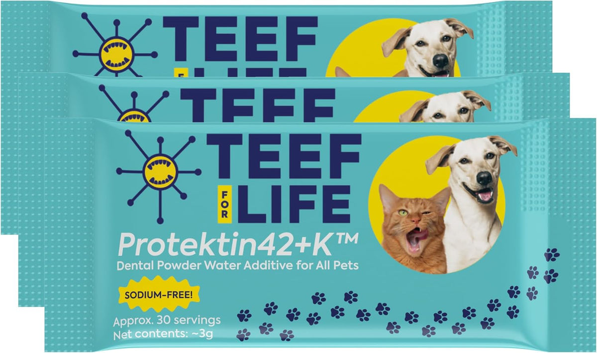 teef for life protektin42k prebiotic pet dental powder, main product view