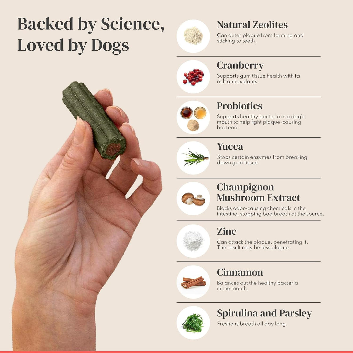 dental sticks for dogs - freshens breath, cleans, close-up detail