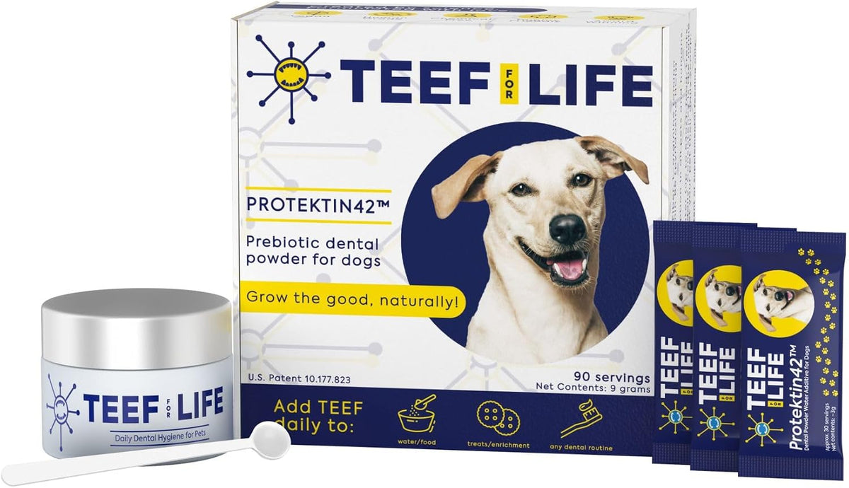 teef for life protektin42 prebiotic dog dental powder, main product view