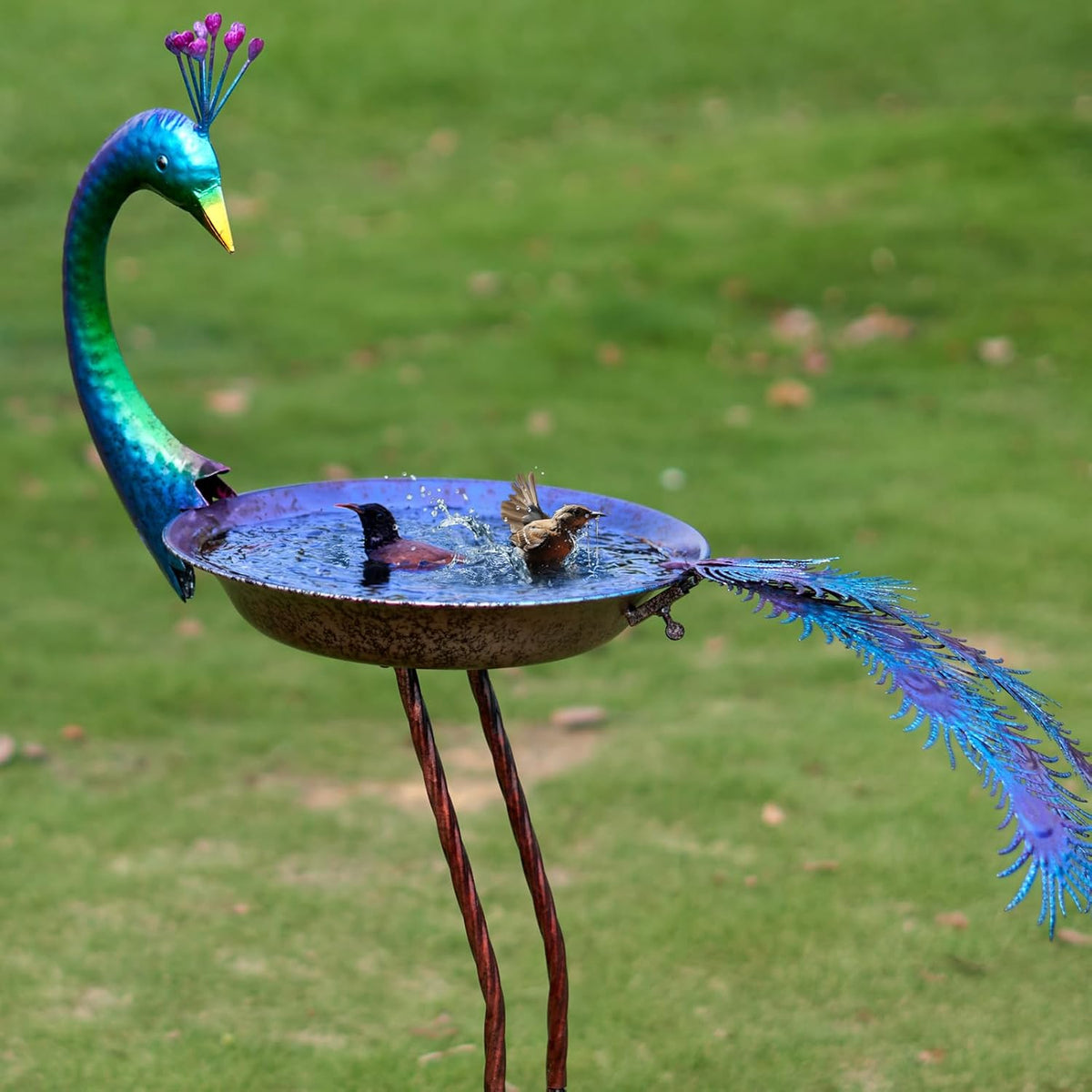 12.8" w*38.2" h peacock bird bath,metal bird bath, main product view