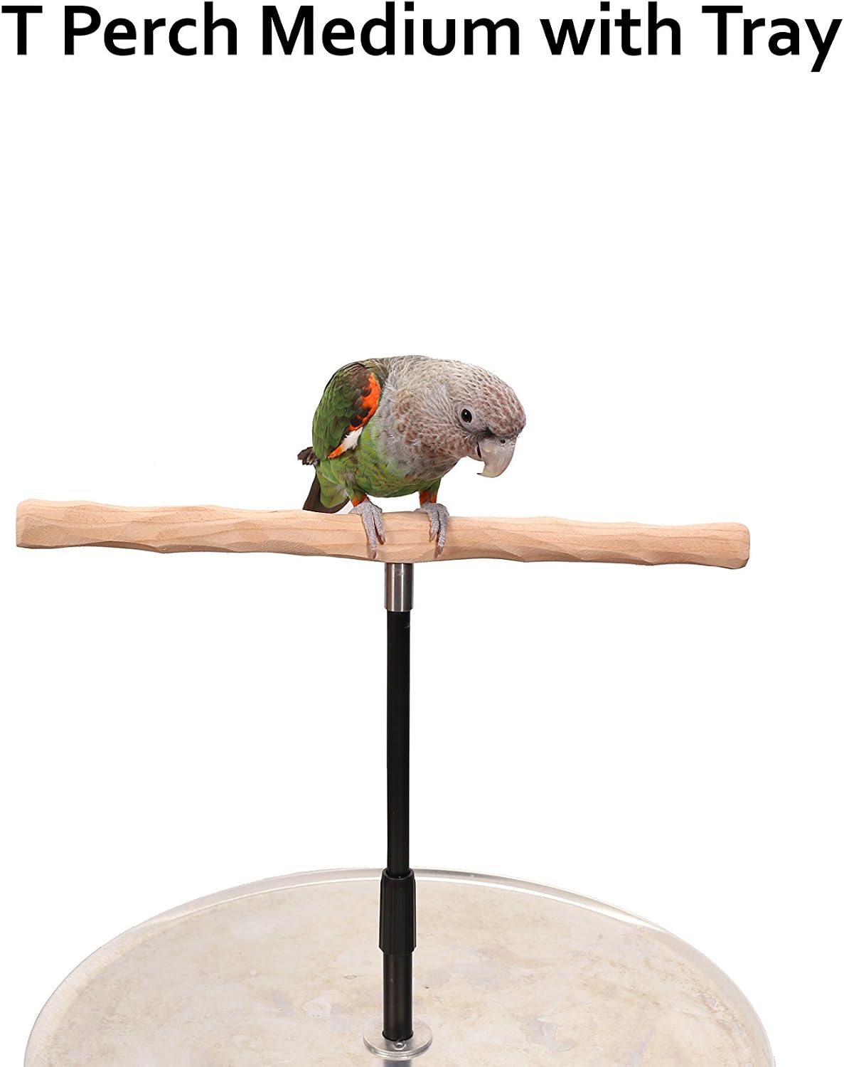 parrot training perch stand with potty tray (t shown in use