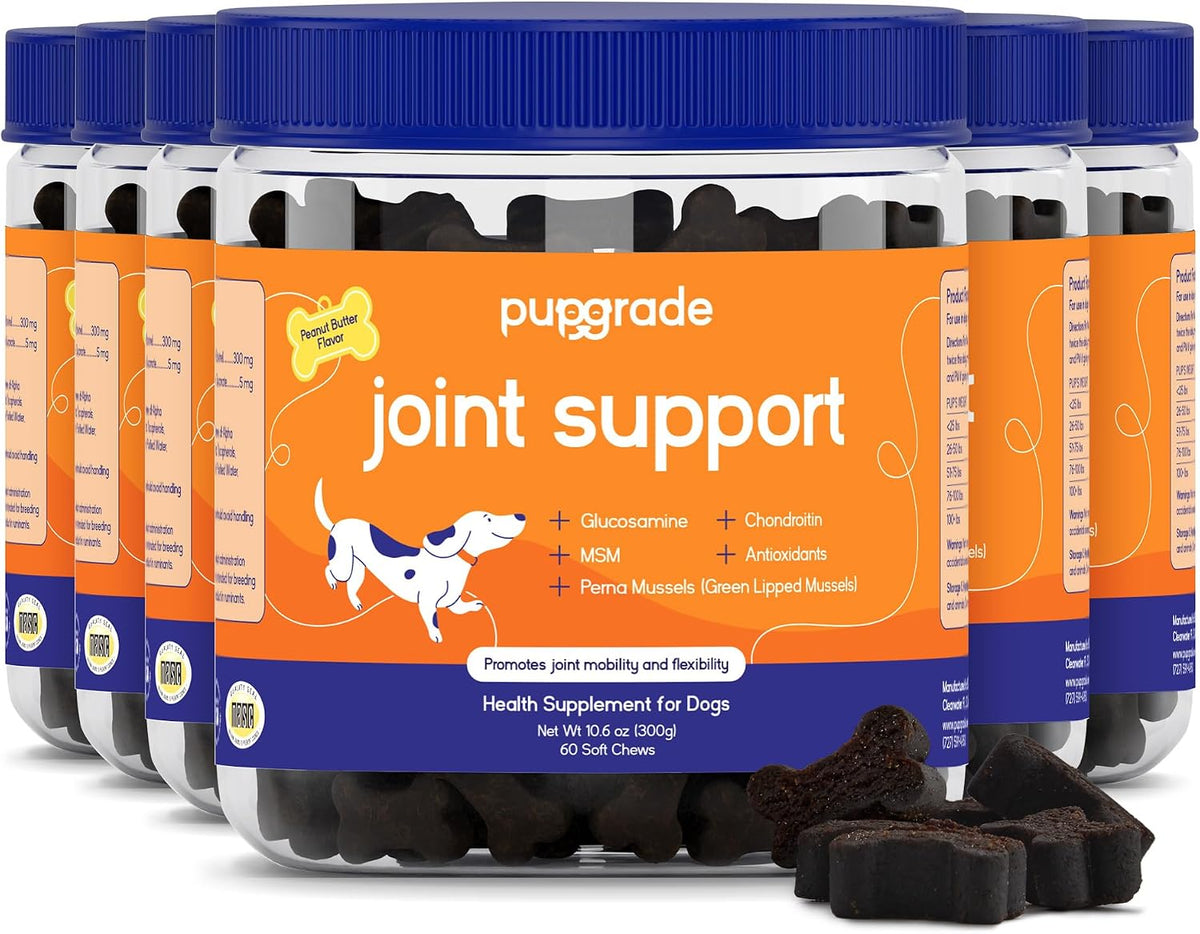 pupgrade joint support for dogs, peanut butter flavor, main product view