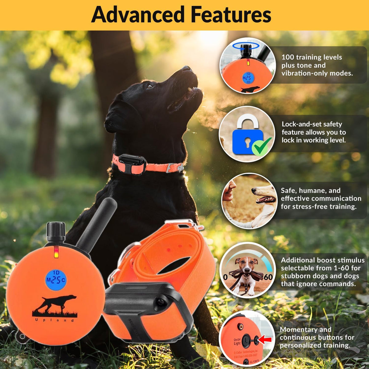 e-collar educator upland dog training collar with remote shown in use