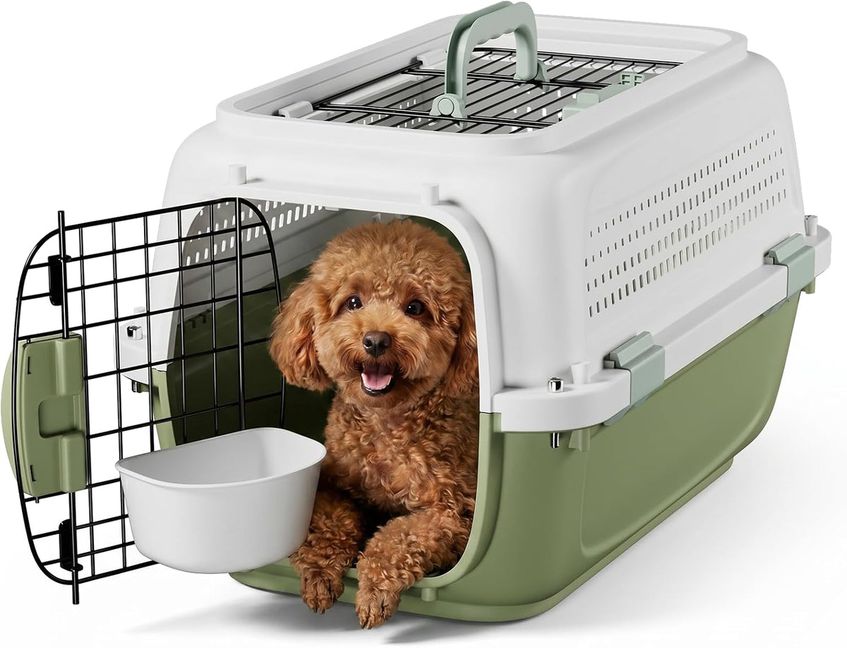 magshion 22 inch hard-sided dog cat carrier, green, main product view