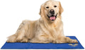 arf pets dog cooling mat - solid gel, main product view