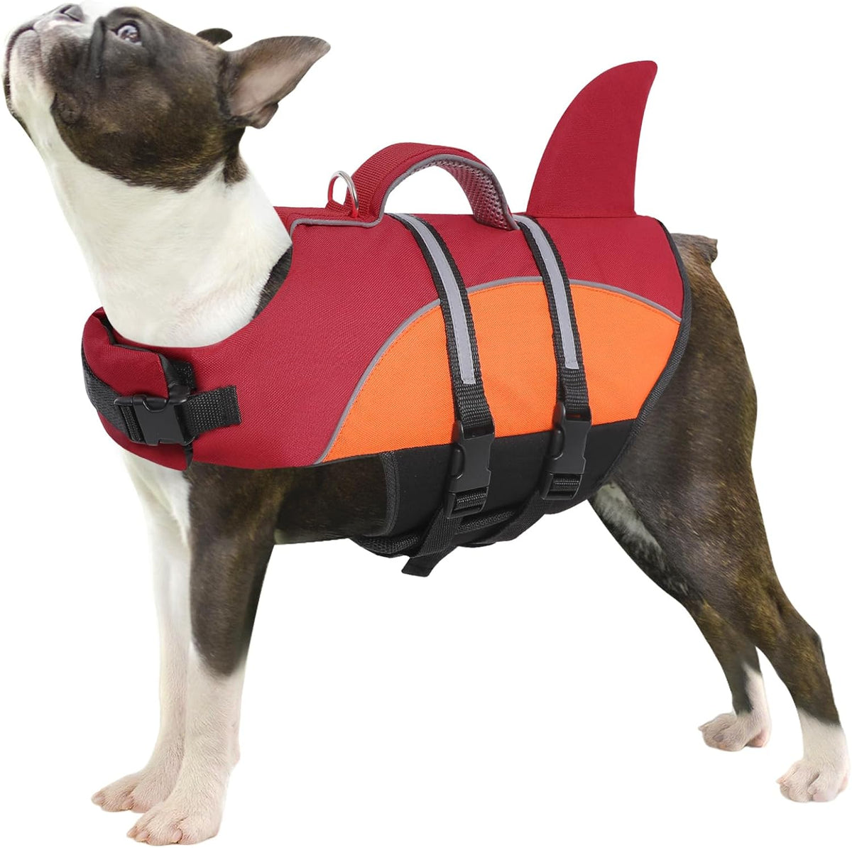 queenmore shark dog life vest - small dog, main product view