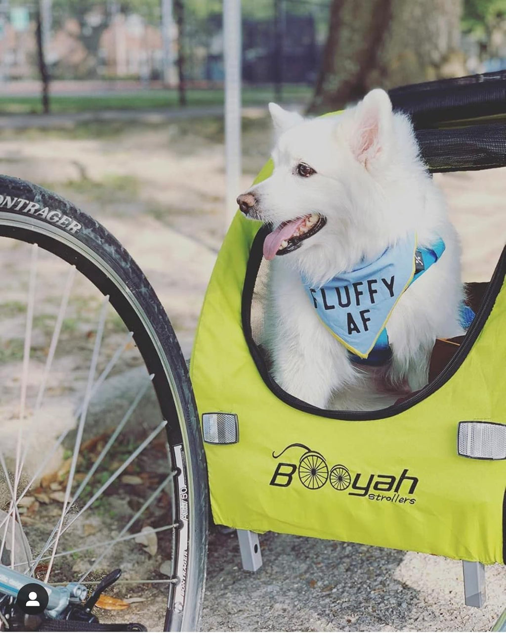 booyah medium dog stroller & pet bike trailer, close-up detail