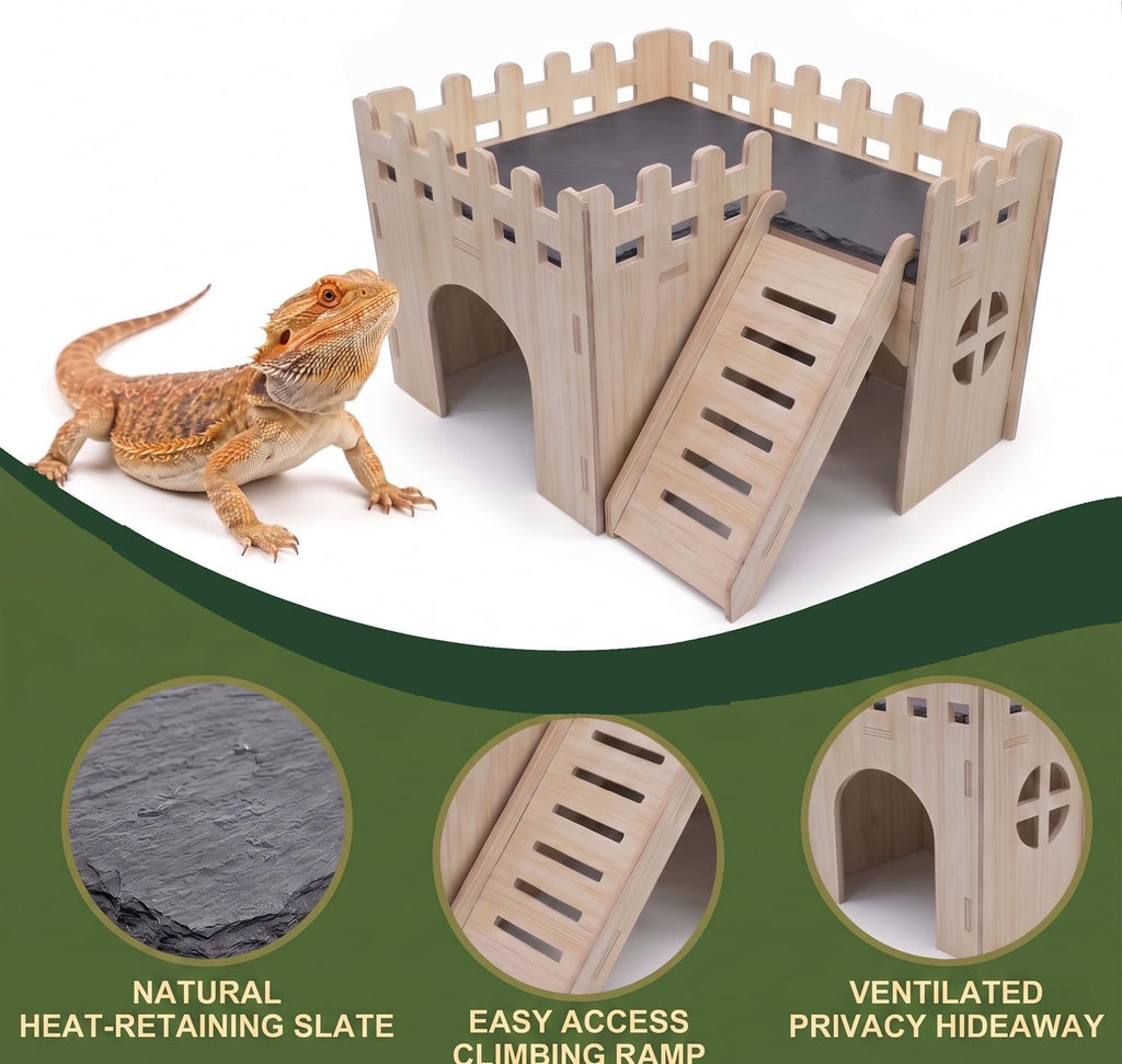 bearded dragon hide cave basking platform - with, close-up detail