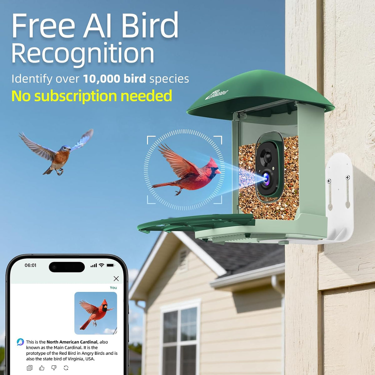smart bird feeder with camera solar powered, 2.5k showing dimensions
