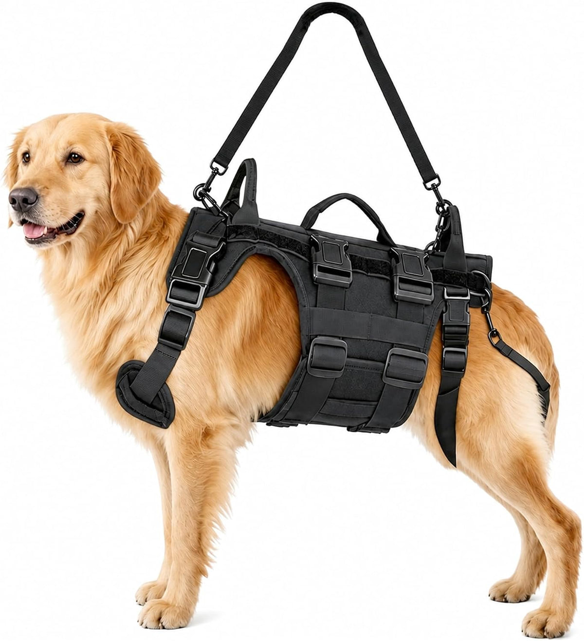 dog lift harness for rear leg support, professional, main product view
