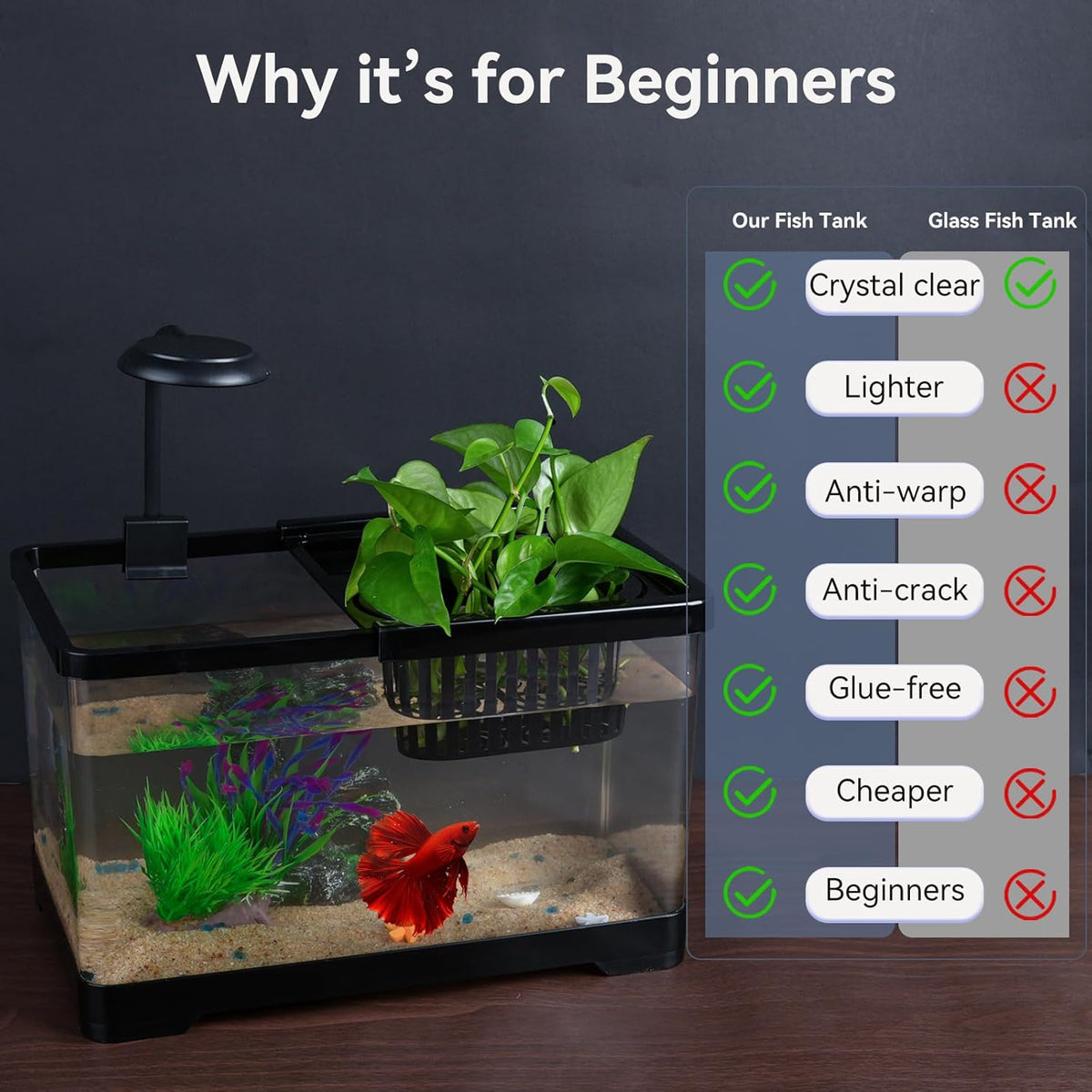1.8 gallon beta fish tank aquariums kits, side view