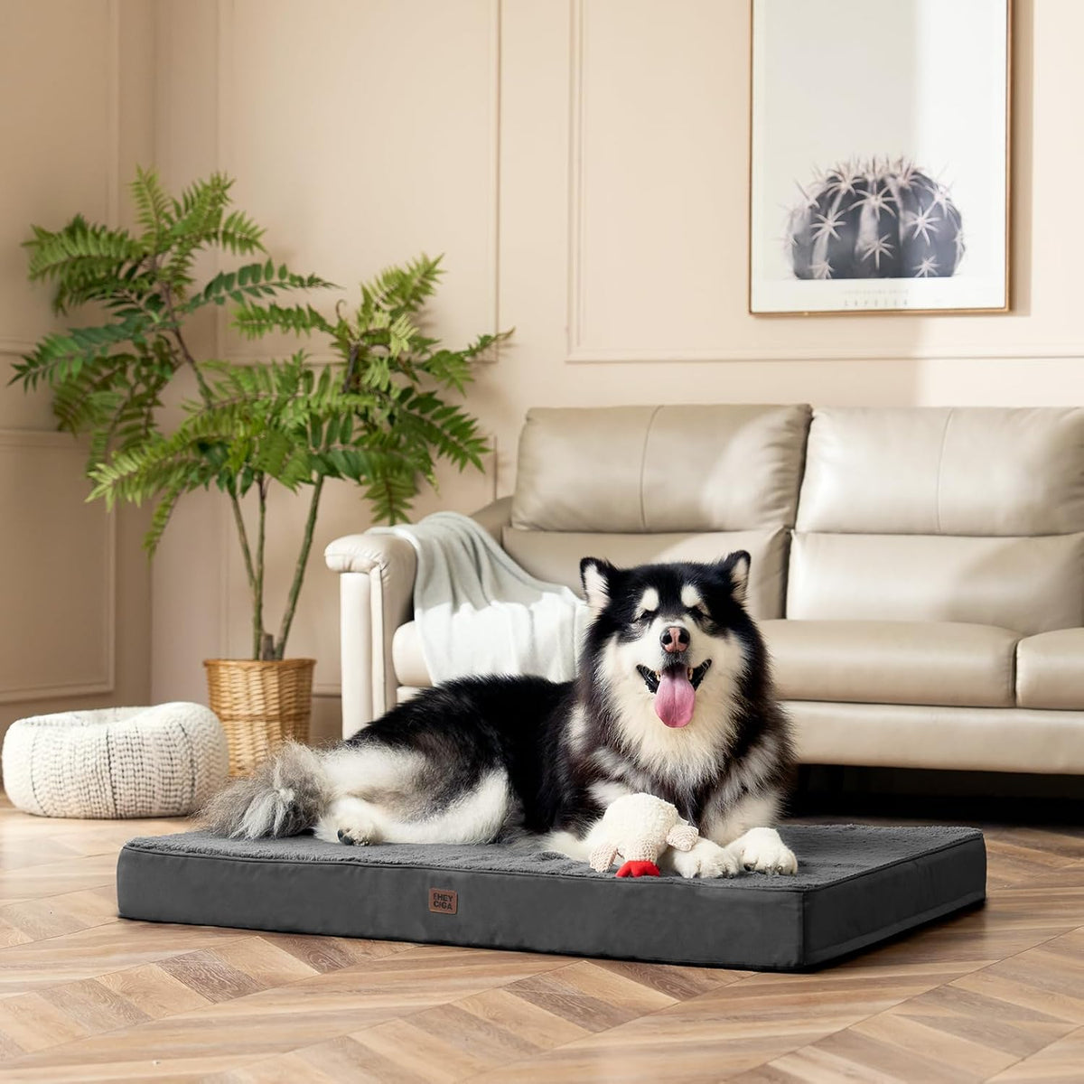 eheyciga orthopedic dog bed large with removable washable, front angle view