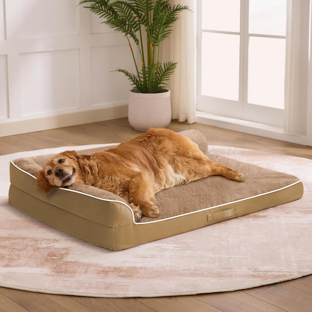 orthopedic dog bed for medium size dog, 36"x27"x6.5", main product view