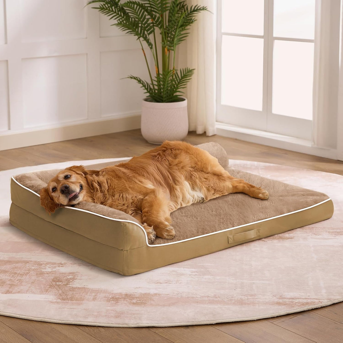 orthopedic dog bed for medium size dog, 36"x27"x6.5", main product view