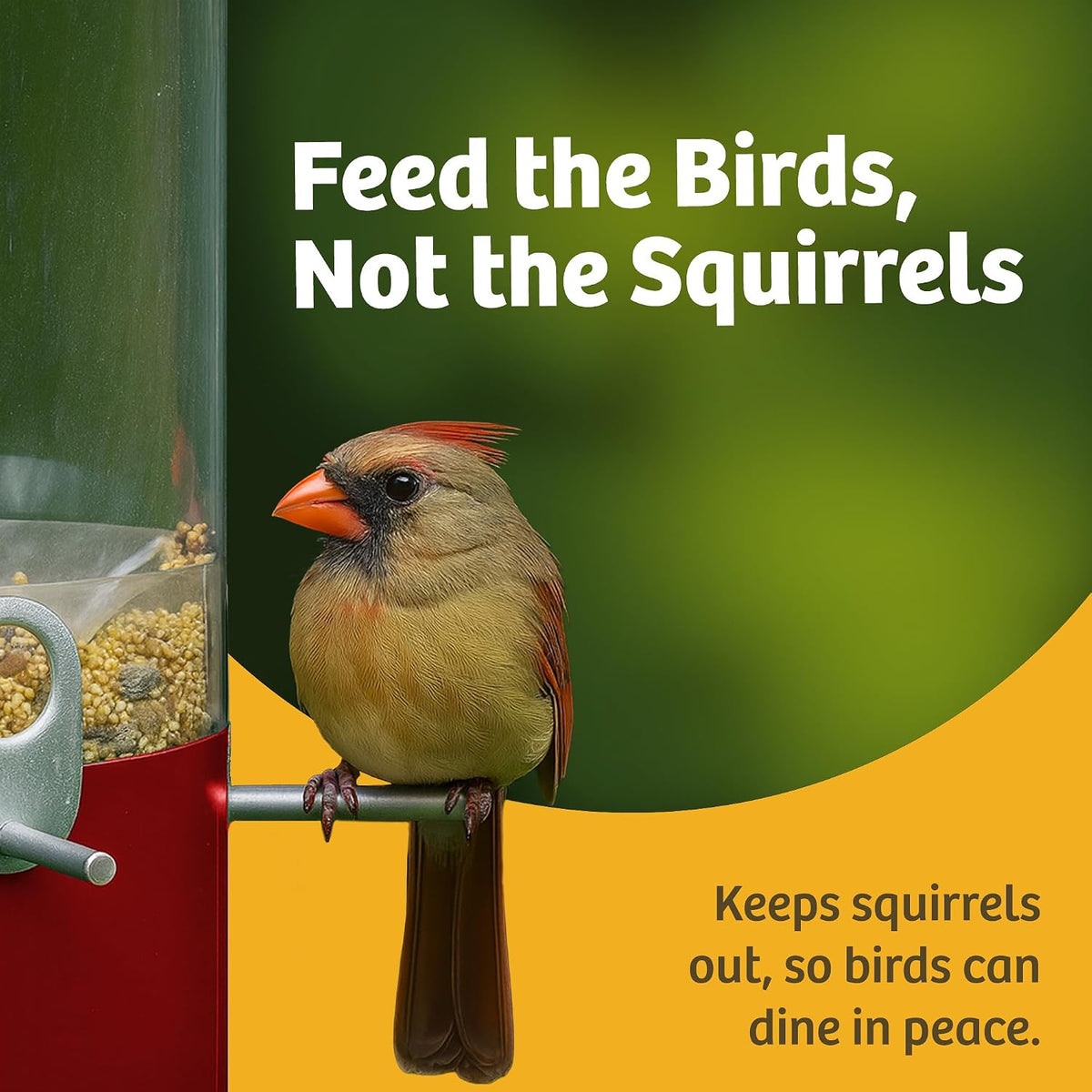 birds choice classic squirrel resistant bird feeder with shown in use