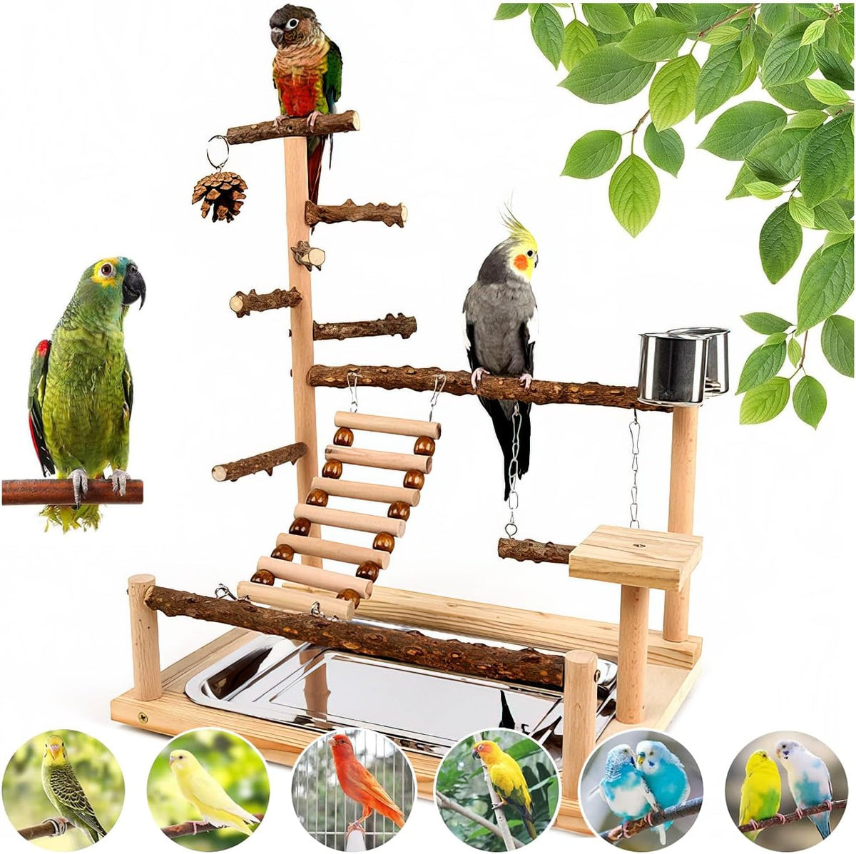 bird playground, parrot perch stand, natural wood bird, main product view