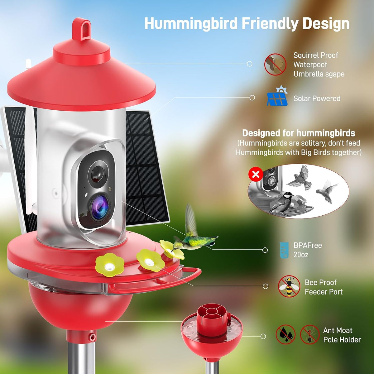 soliom hummingbird feeder with camera, 2k smart ai showing dimensions