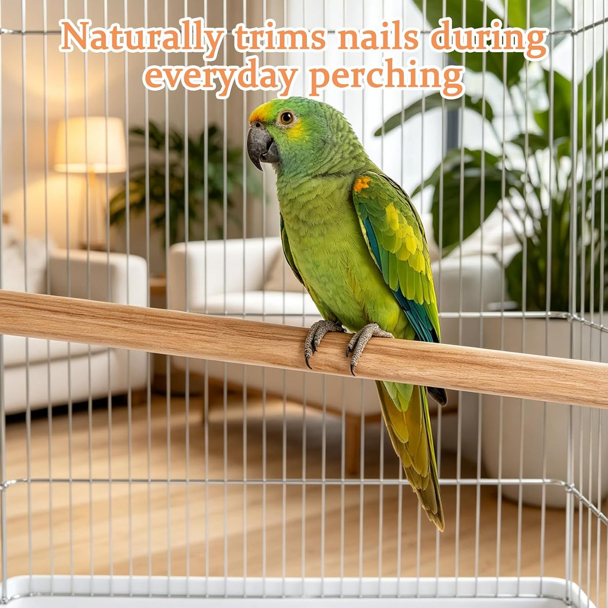24 x 0.6 inches wooden bird perches for showing dimensions