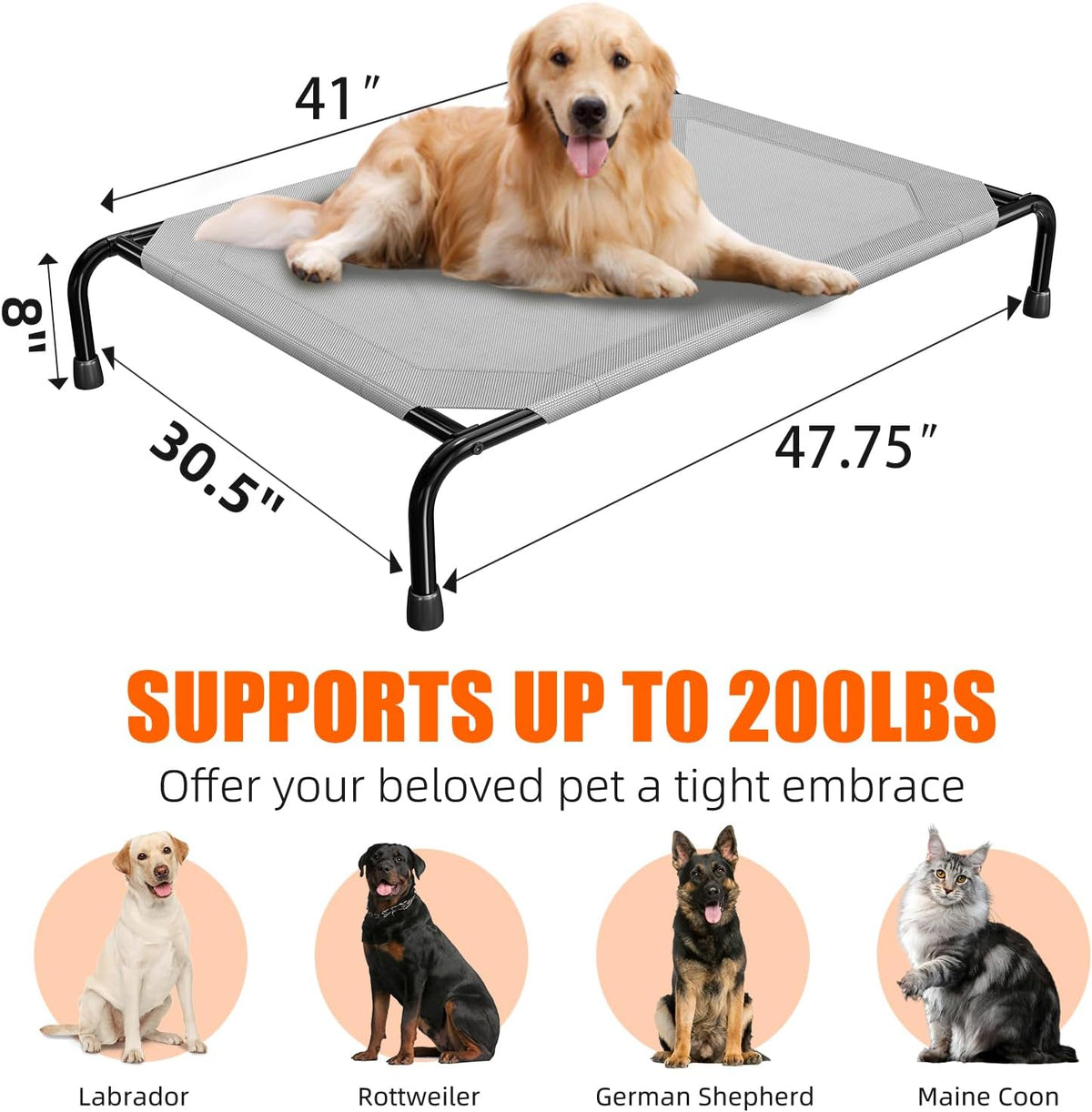 simple trending raised dog bed for large dogs on a desk or shelf