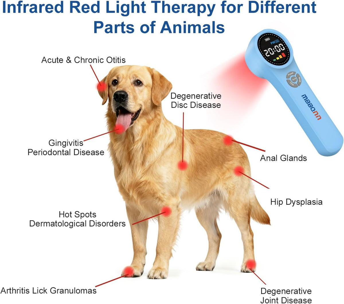 cold laser therapy device for dogs, red light, close-up detail