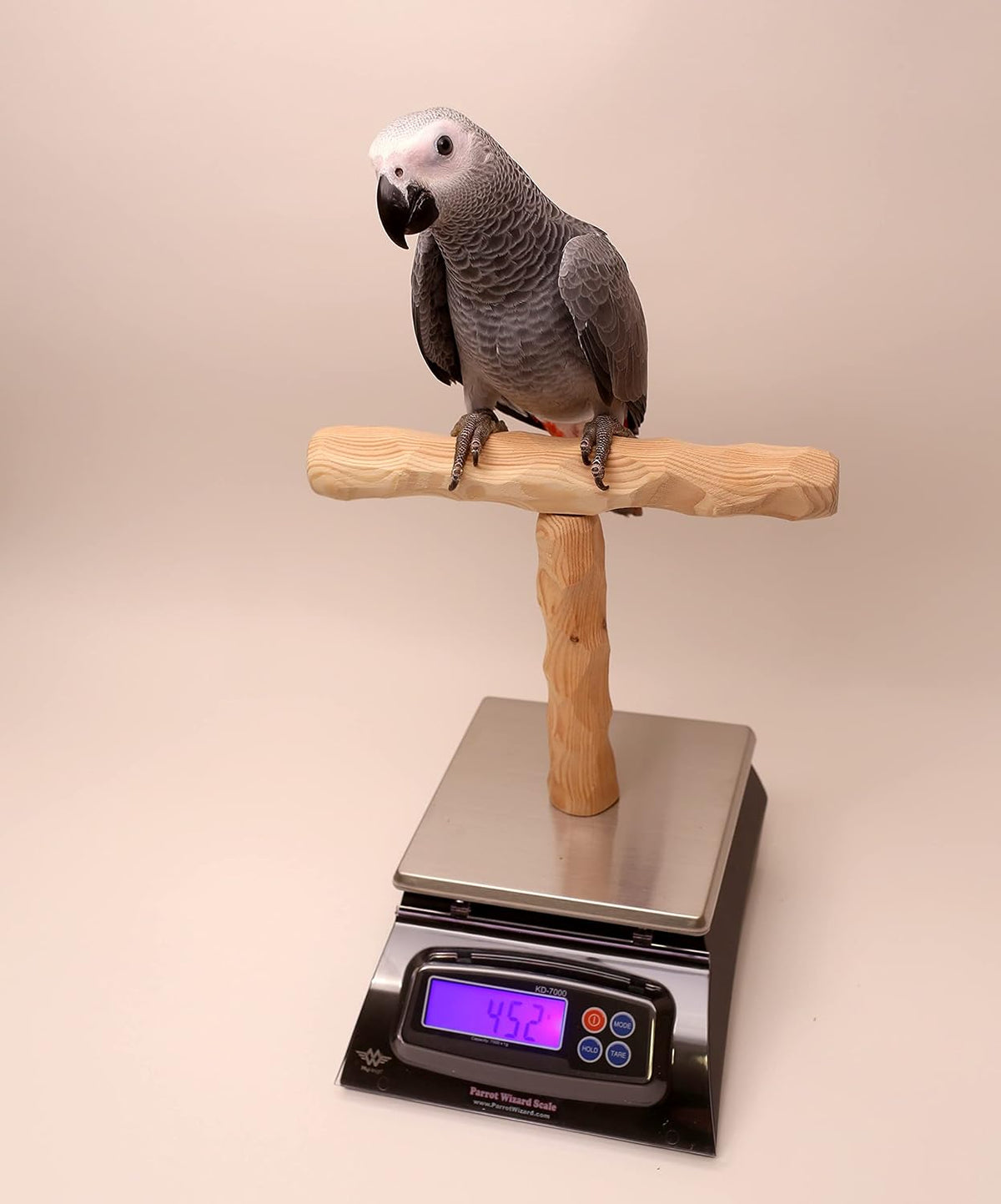 nu perch parrot training scale, close-up detail