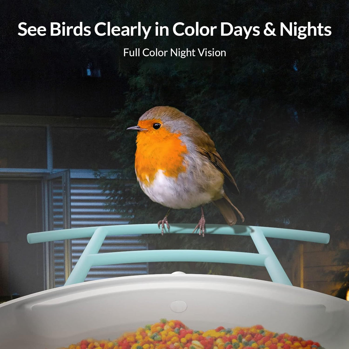 netvue birdfy - smart bird feeder camera, bird showing dimensions