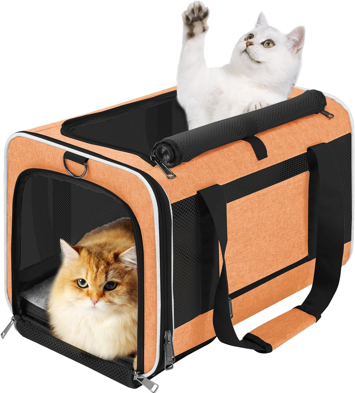 gapzer large cat carrier soft, collapsible travel pet, main product view