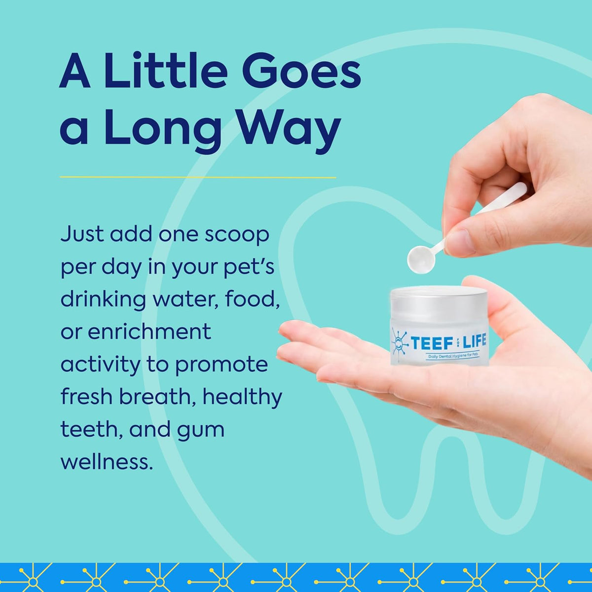 teef for life protektin42 prebiotic dog dental powder, close-up detail