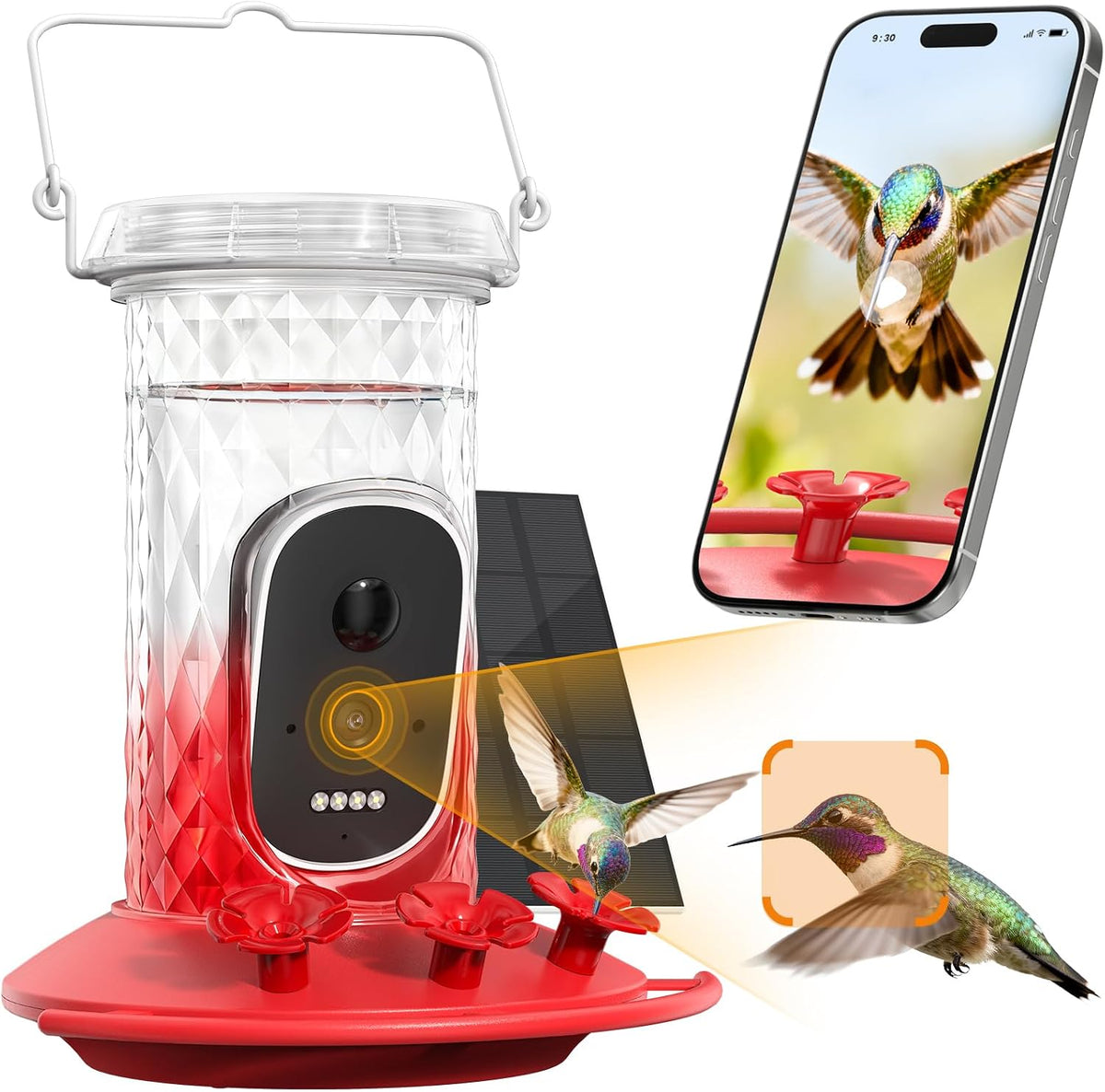 smart hummingbird feeder with camera solar powered, main product view