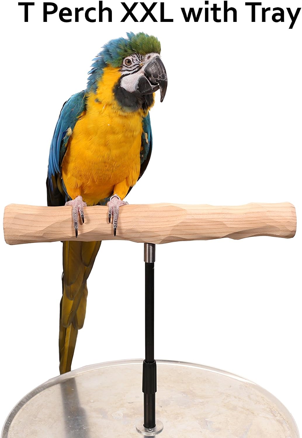parrot training perch stand with potty tray (t shown in use