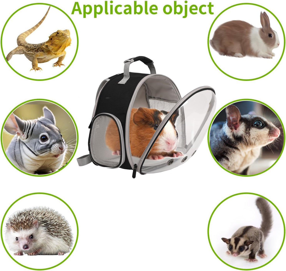 bearded dragon backpack carrier,reptile portable backpack carrier,space capsule, side view