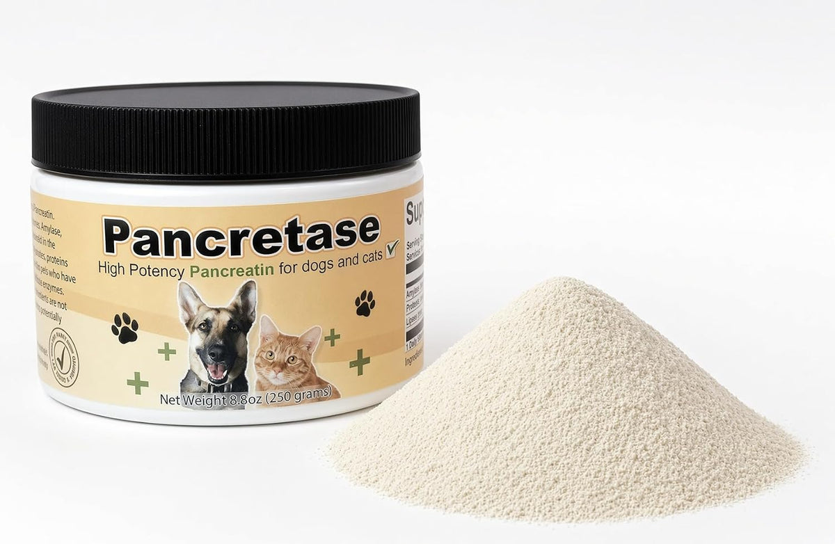 | pancretase digestive enzymes | 10x pancreatin |, main product view