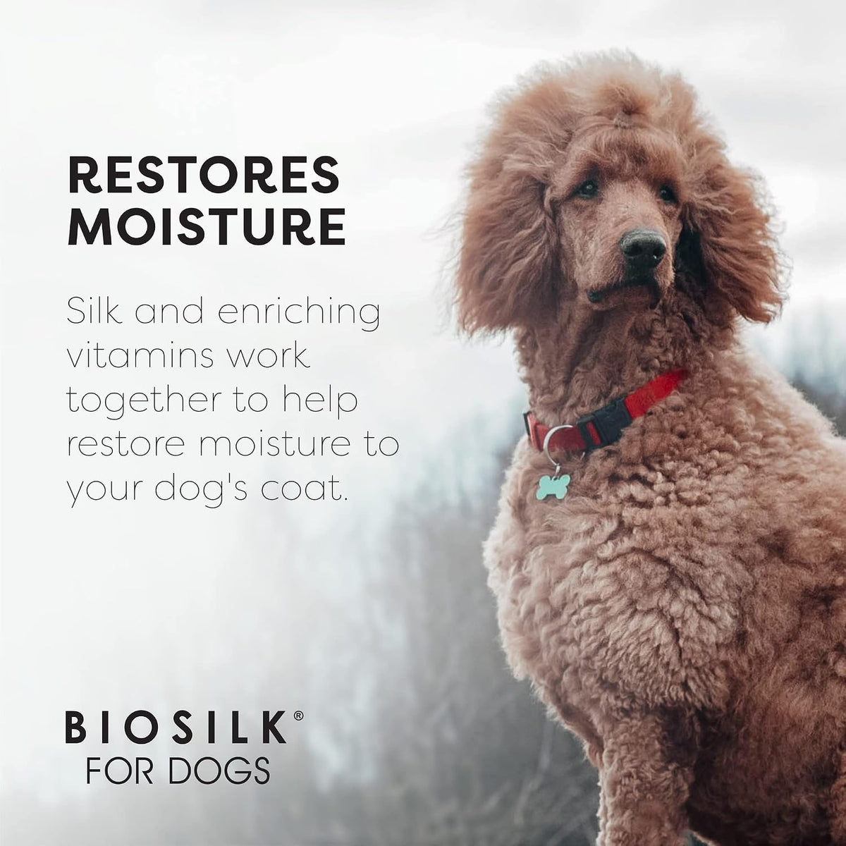 biosilk for dogs silk therapy shampoo, with coconut, side view