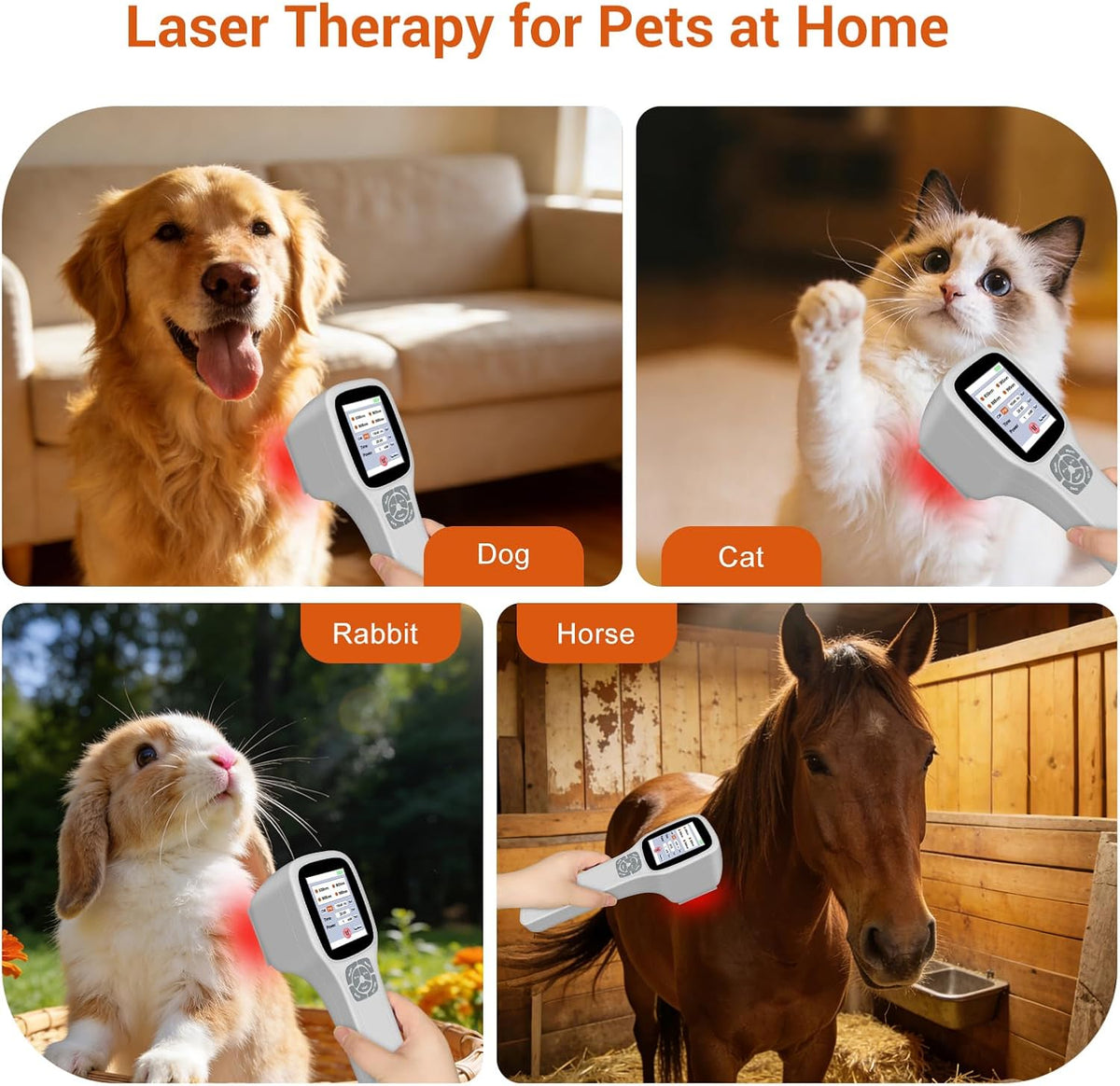 cold laser therapy device for dogs veterinary laser showing dimensions