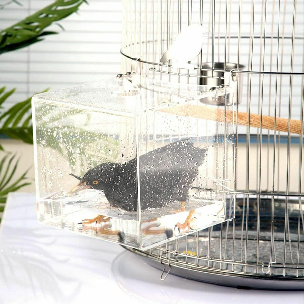 gurecod hanging bird bath cube bird bathtub bath, main product view