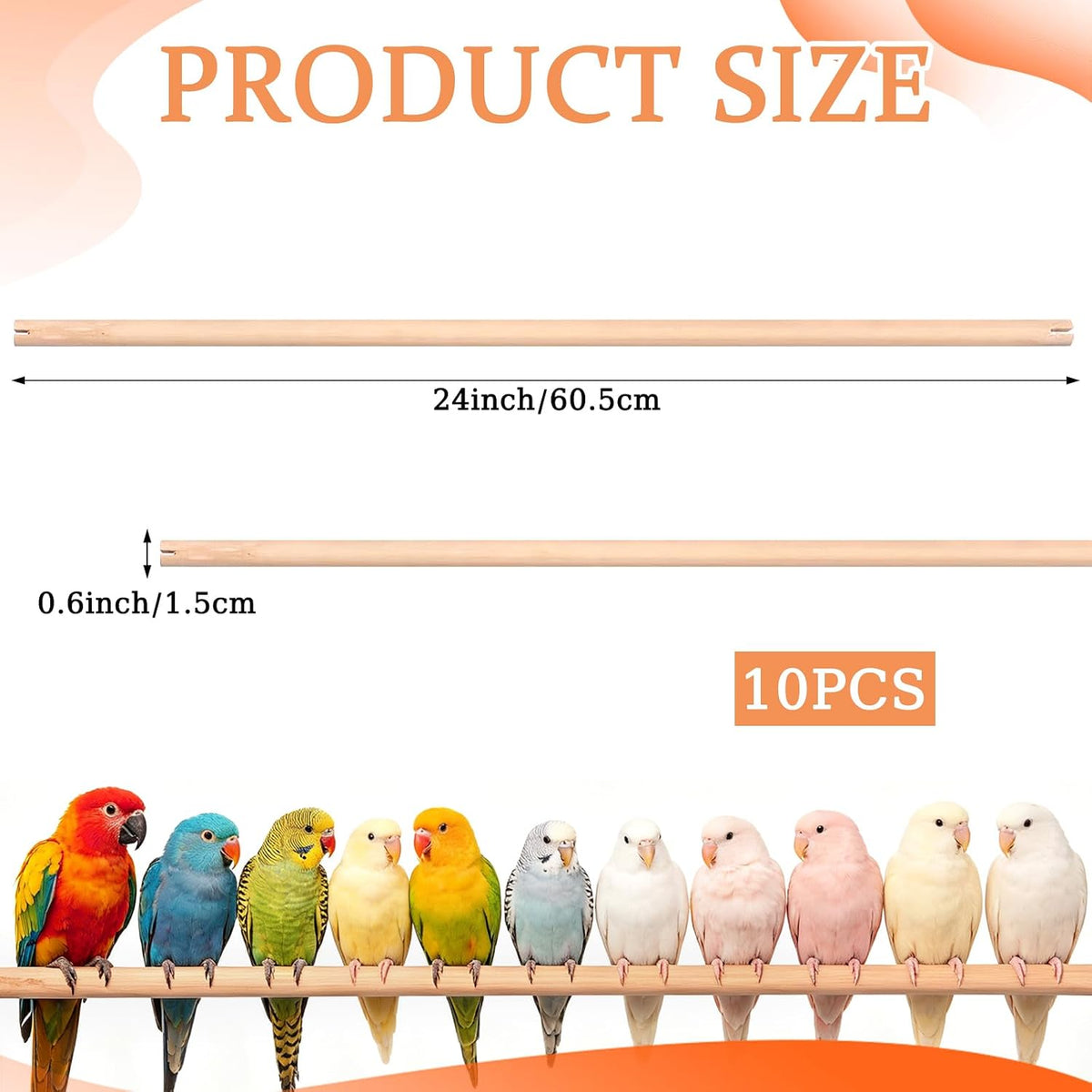 24 x 0.6 inches wooden bird perches for shown in use