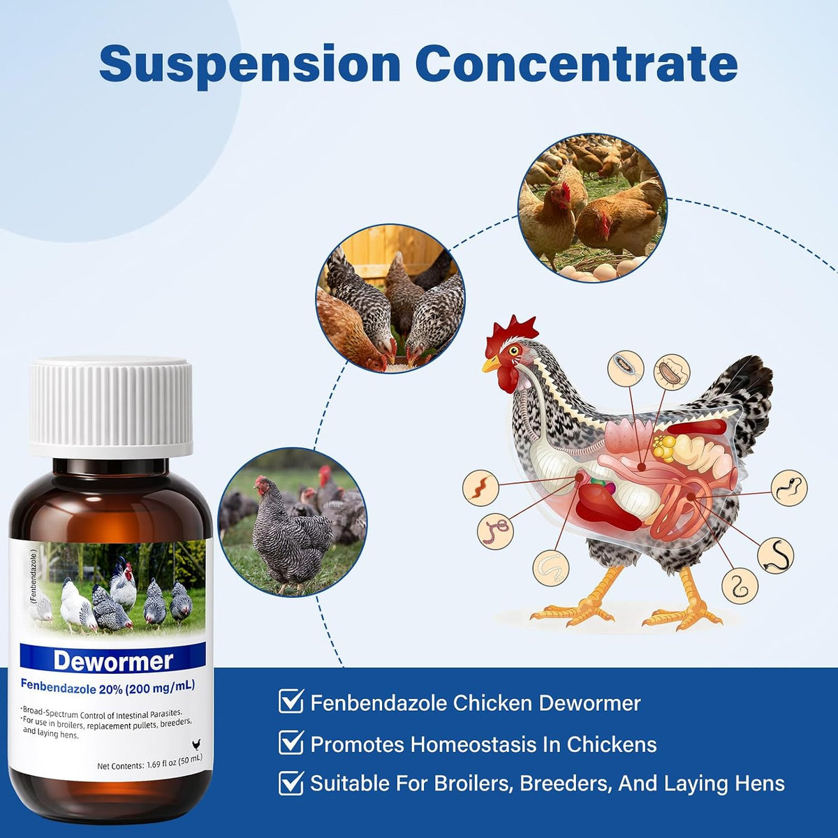 chicken dewormer – fenbendazole 20% (200 mg/ml) oral shown in use