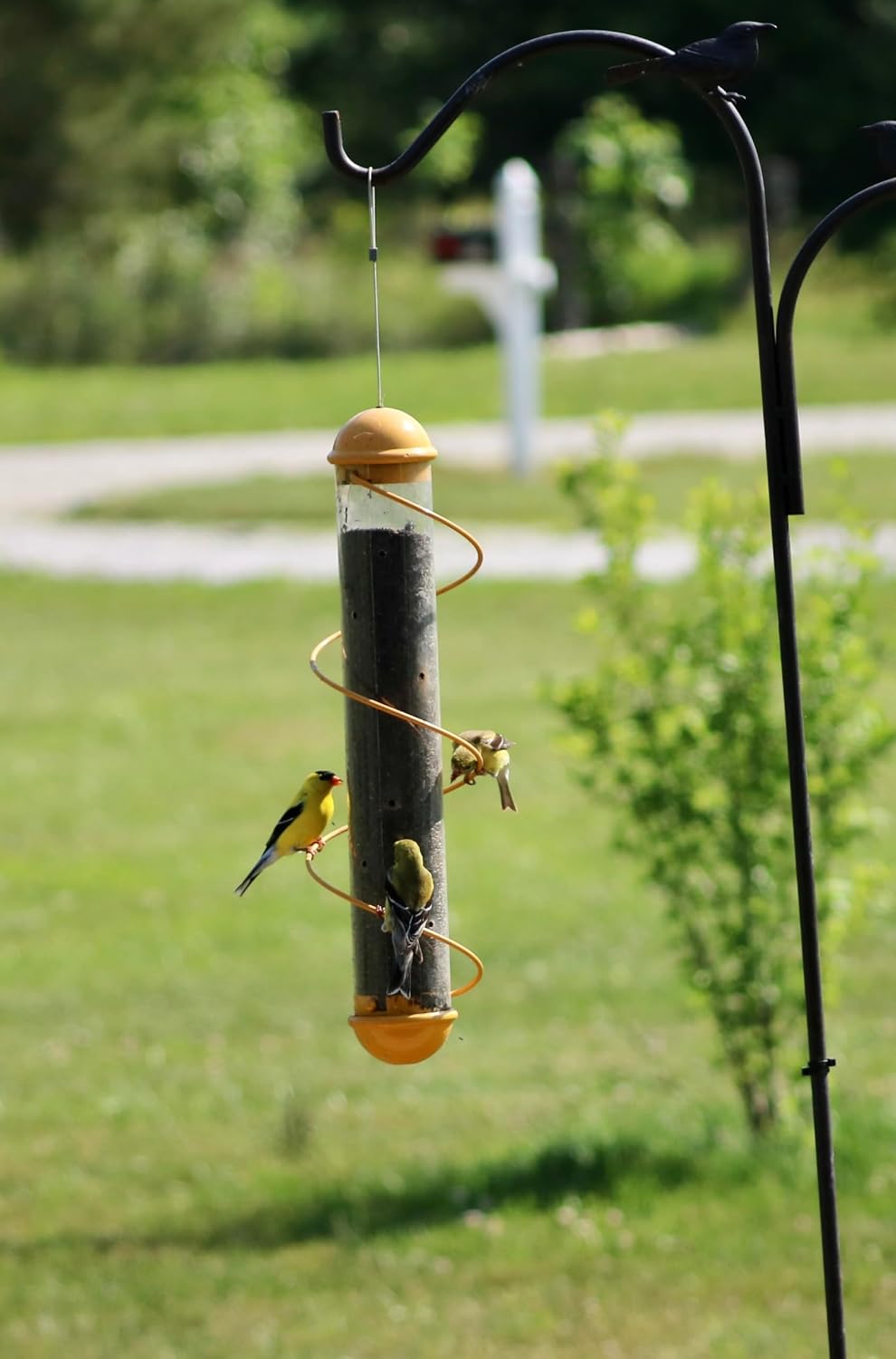 bird quest sbf2y 17" spiral thistle bird feeder, close-up detail