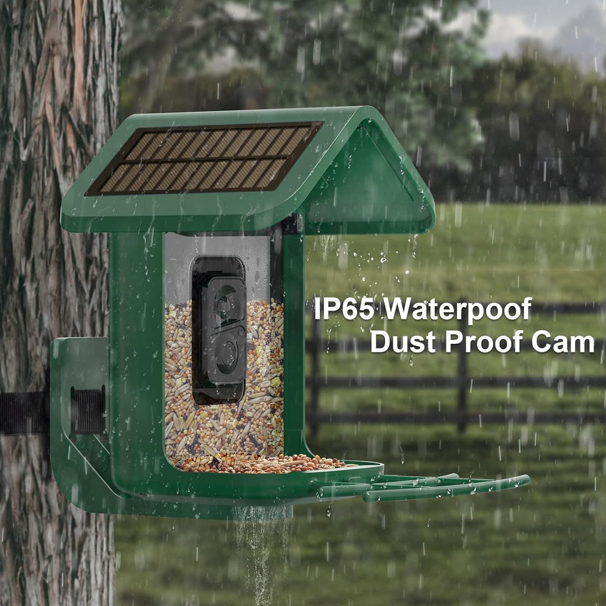 smart bird feeder with camera solar powered, 2k, side view