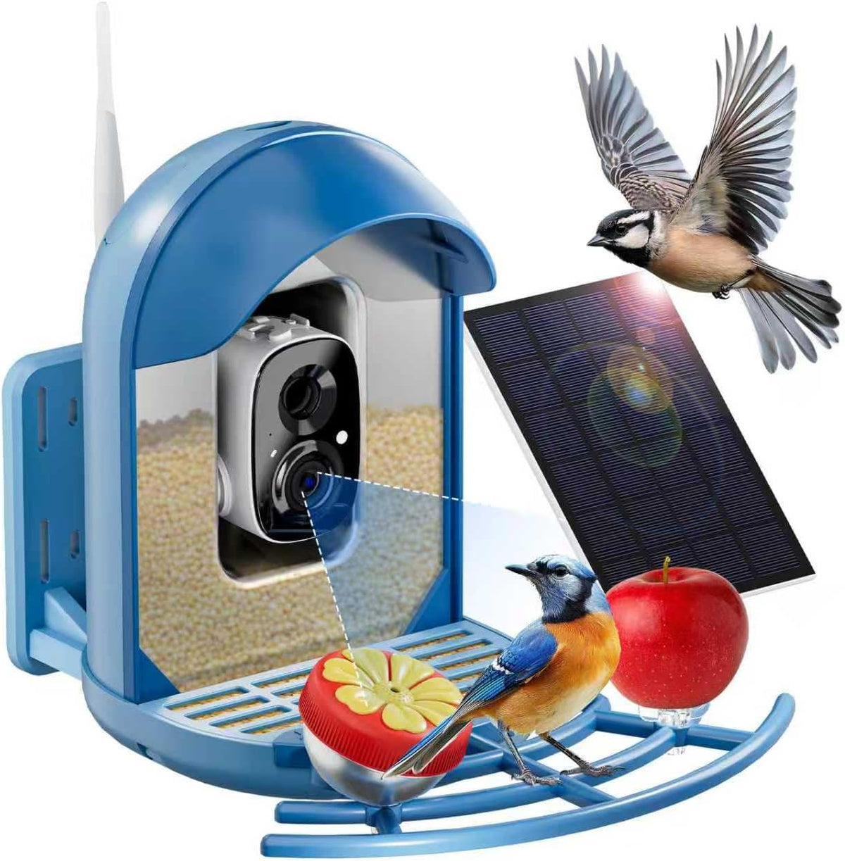 bird feeder with camera, smart birdfeeder with cam, main product view