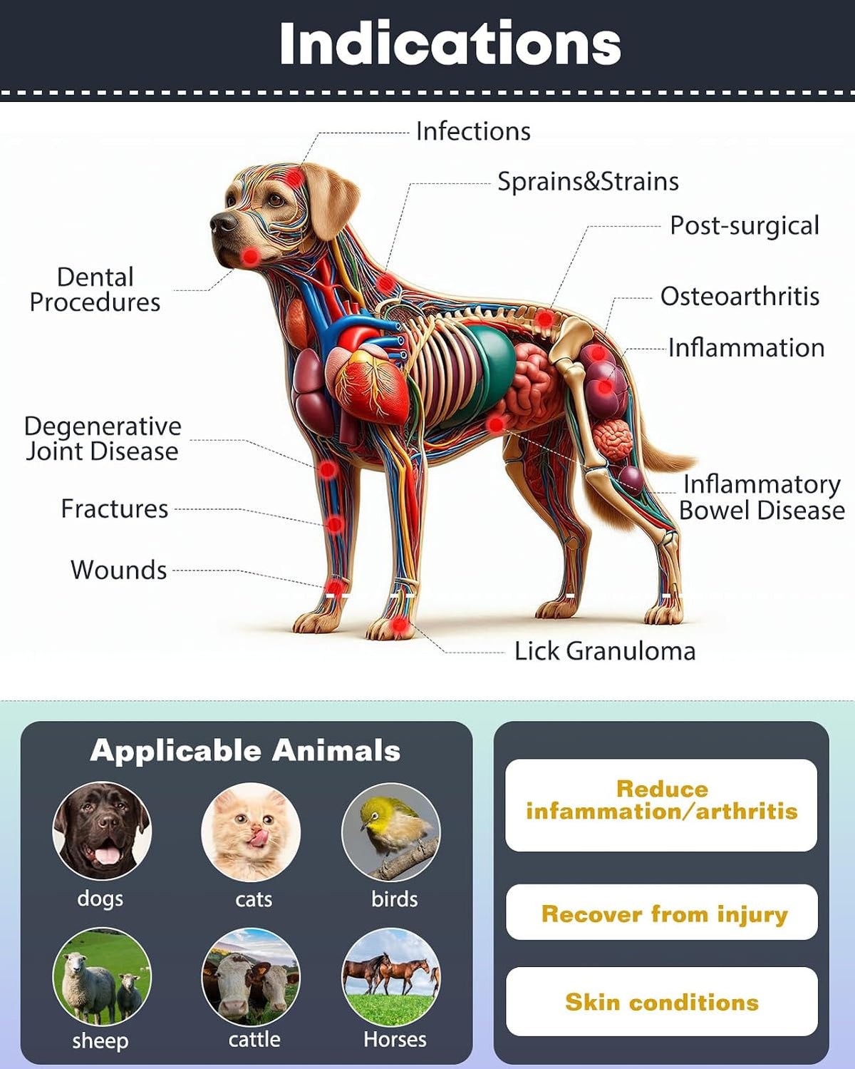 red light therapy for dogs, 410nm, 660nm & shown in use