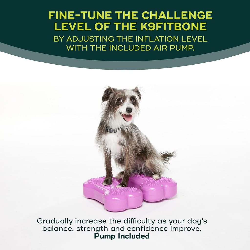 fitpaws® mini k9fitbone® dog balance platform, core stability showing dimensions