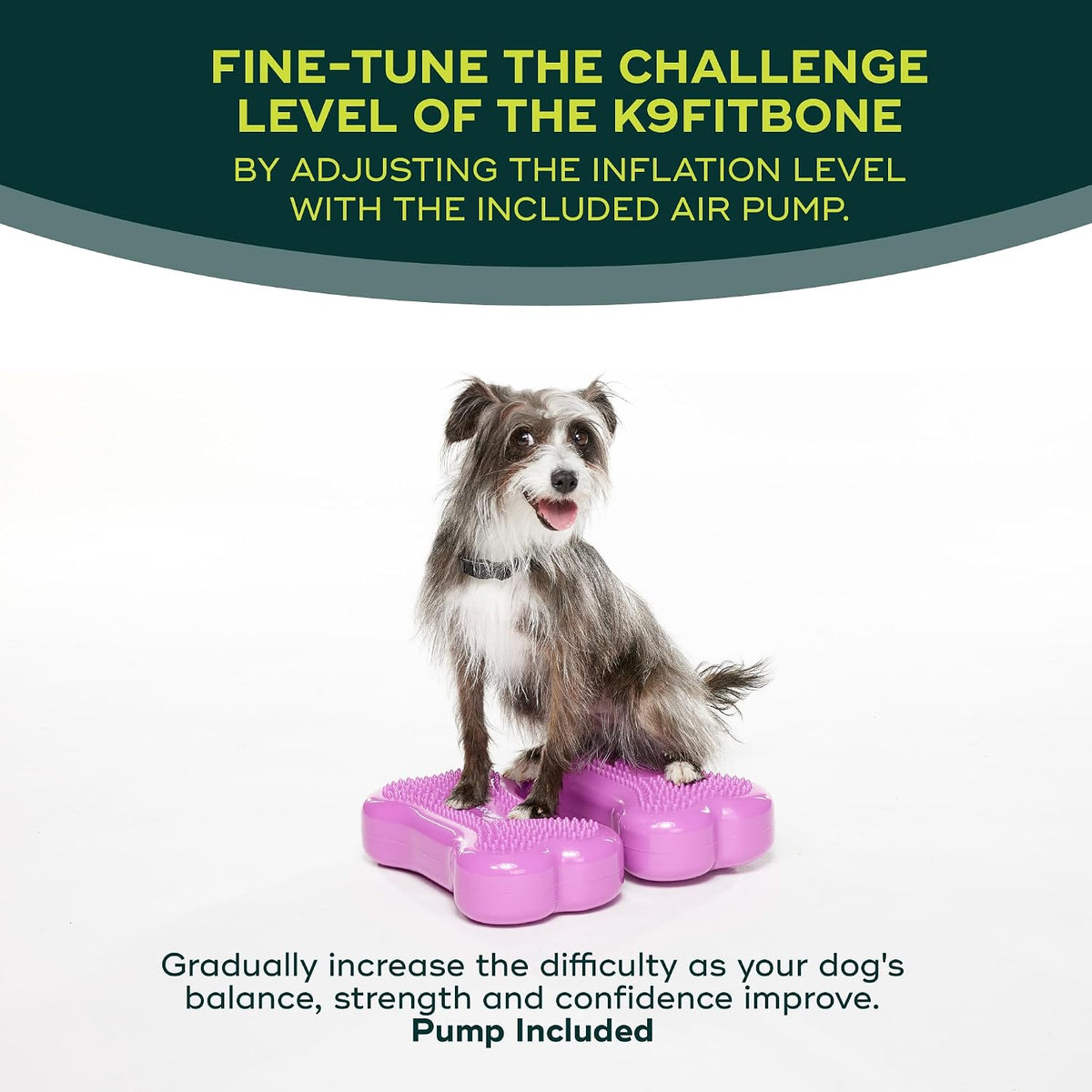 fitpaws® mini k9fitbone® dog balance platform, core stability showing dimensions