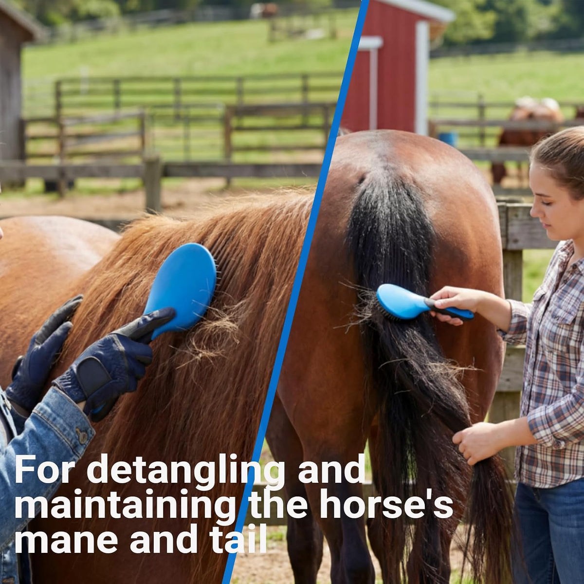13 piece horse grooming kit, horse brushes for, close-up detail