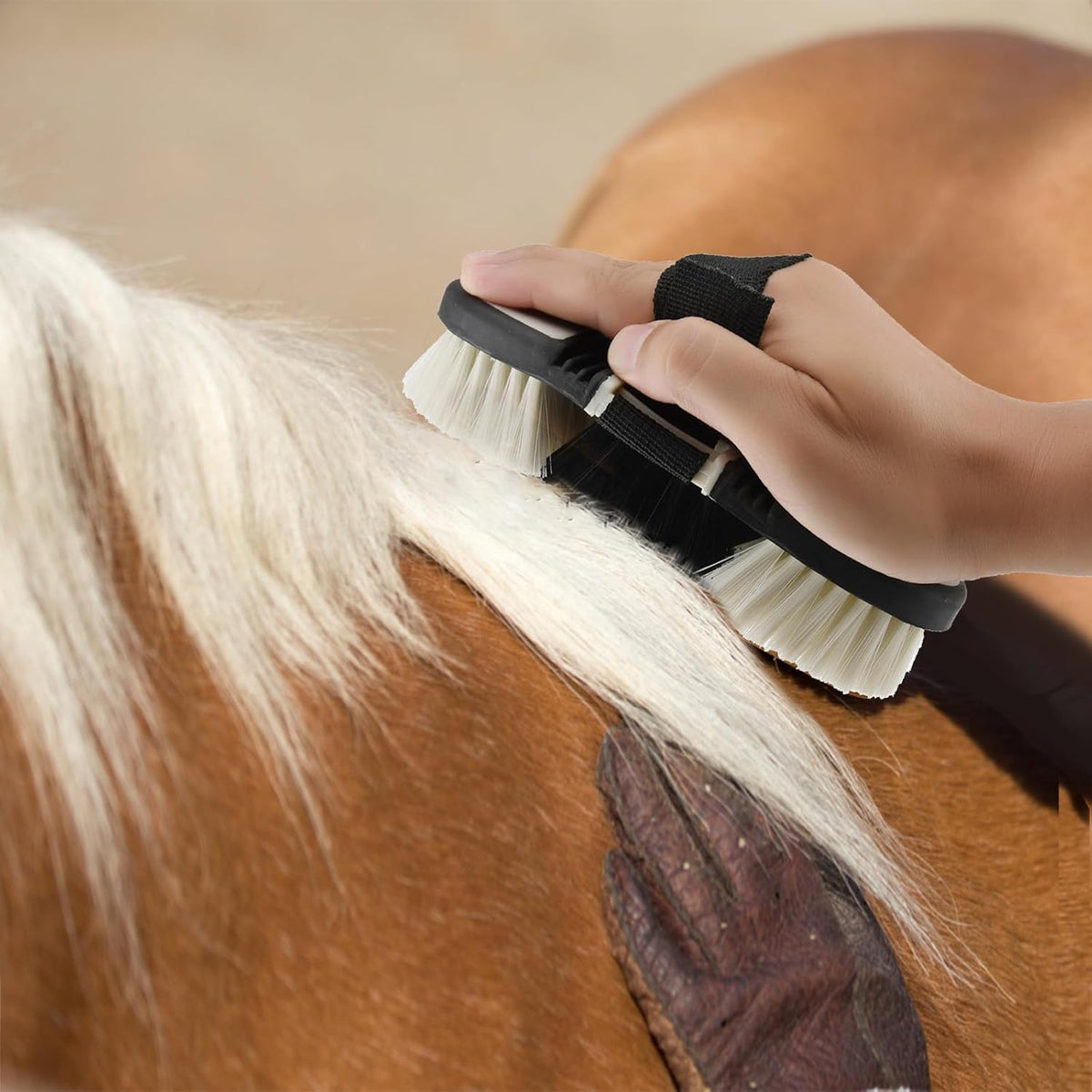 horse grooming kit,horse brush set equine care cleaning showing dimensions