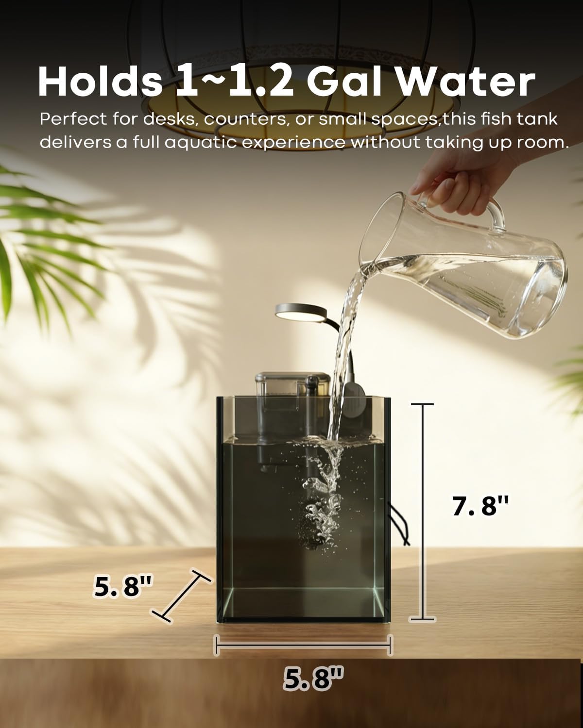 1.25 gallon fish tank small glass aquarium kit, close-up detail