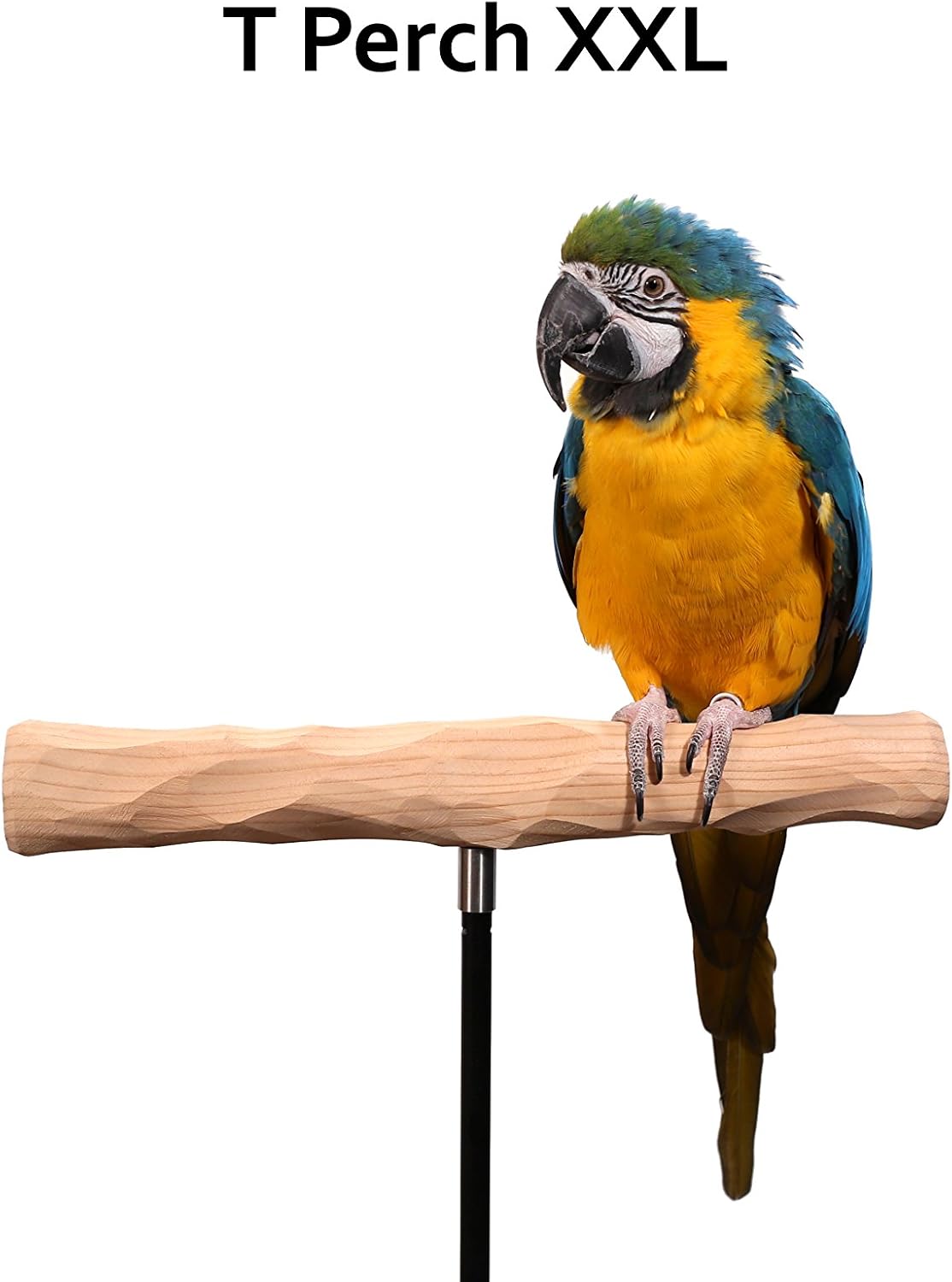 parrot training perch kit (t perch, xxl), close-up detail