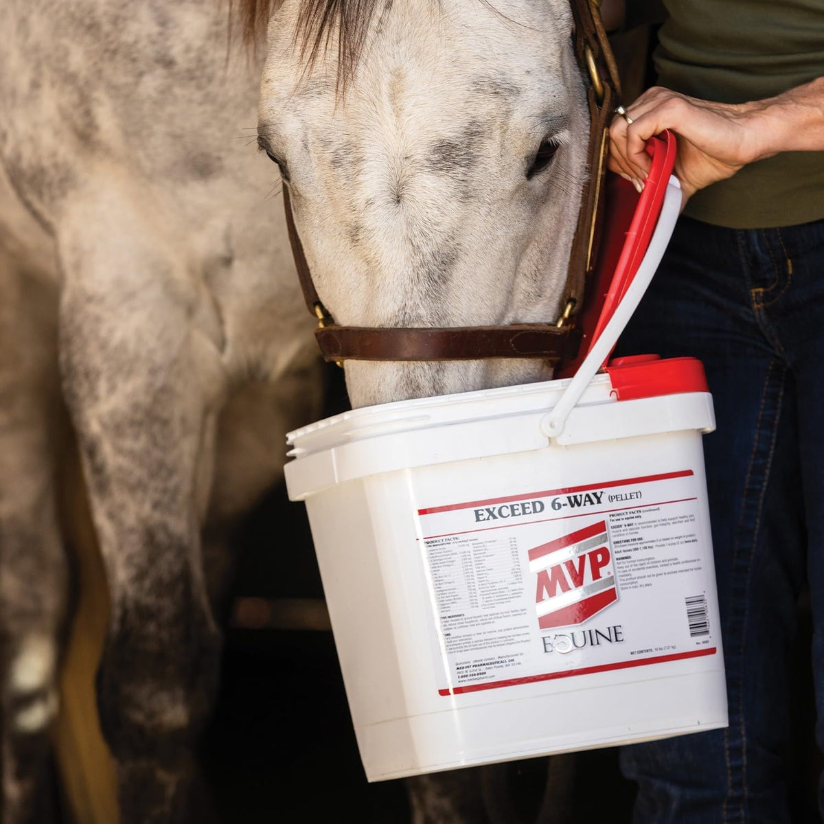 mvp exceed 6-way high level performance horse support, package contents