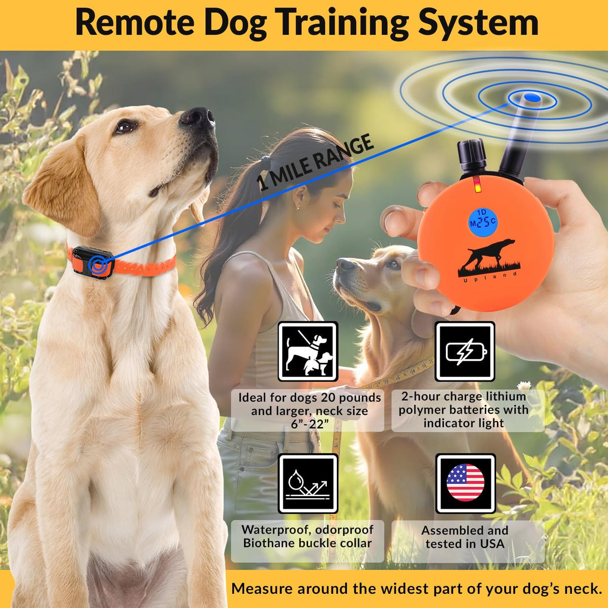 e-collar educator upland dog training collar with remote, close-up detail