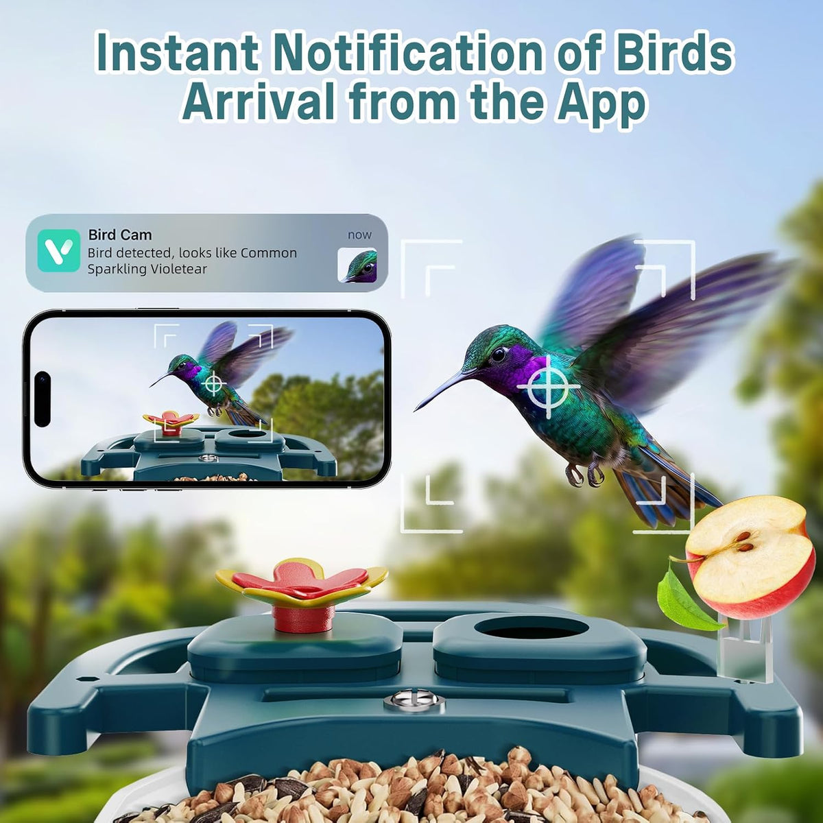 bird feeder with camera solar powered, 2k hd, close-up detail